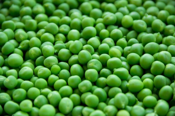 Petits pois extra-fins surgelés – 100% naturels – Origine France – Image 2